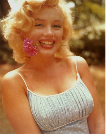 Send this page to a friend! (click here)