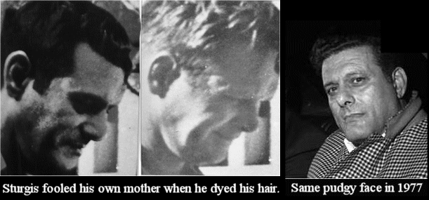 Nixon's Watergate burglar, Frank Sturgis, was one of the plotters.